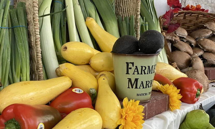 outdoor farmer's market with a variety of fresh vegetables shown